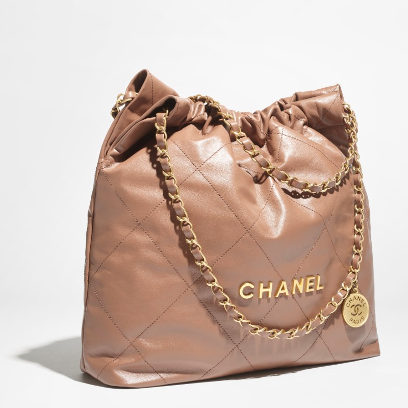 Spring Summer 2026 Pre-collection CHANEL 22 Handbag